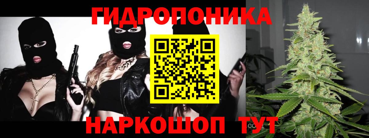 Каннабис план Лабытнанги